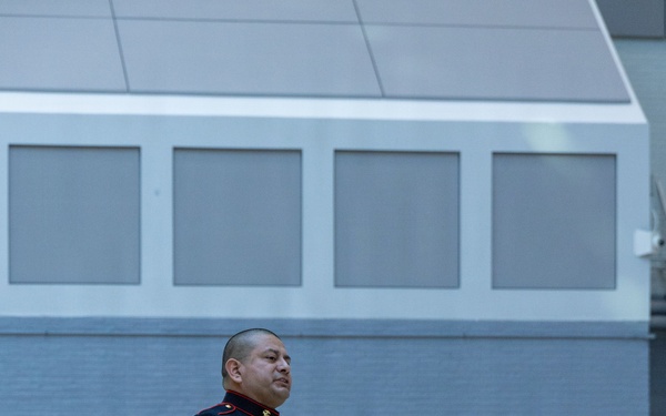 Recruiting Station Springfield Relief and Appointment