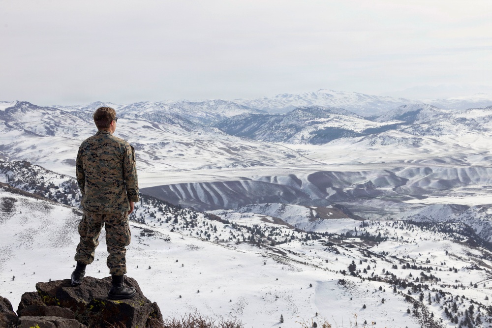MTX 1-26 | Combat Logistics Battalion 24 Long Range TRV-150 Operations