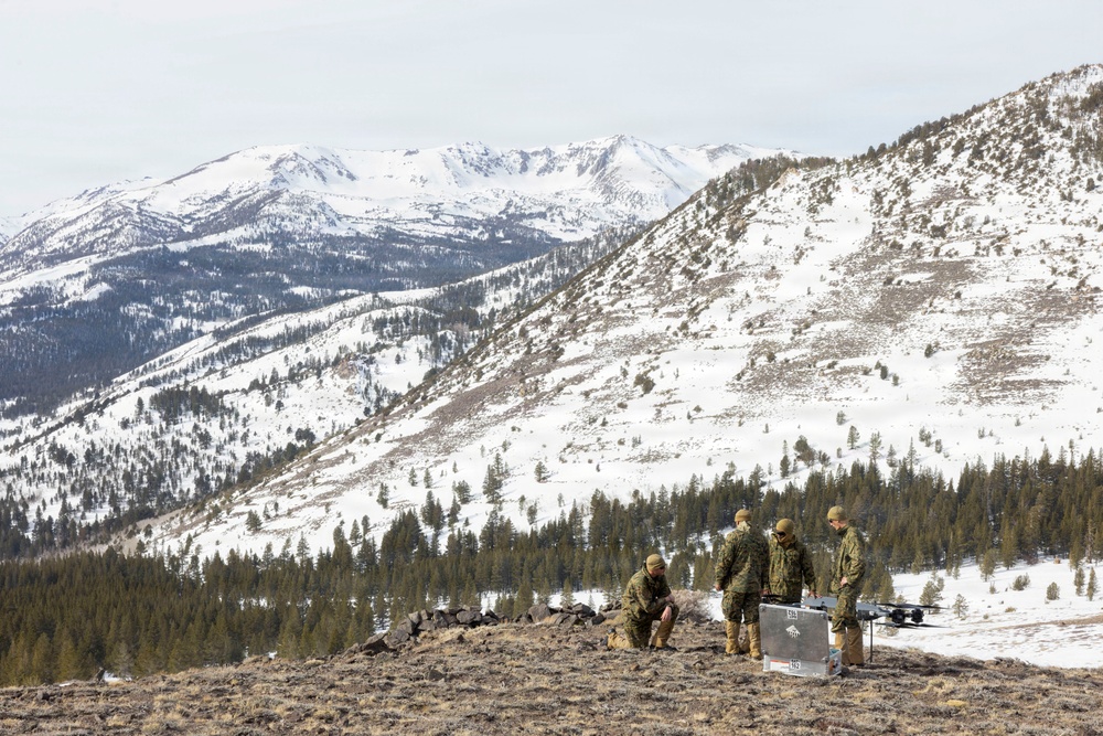 MTX 1-26 | Combat Logistics Battalion 24 Long Range TRV-150 Operations