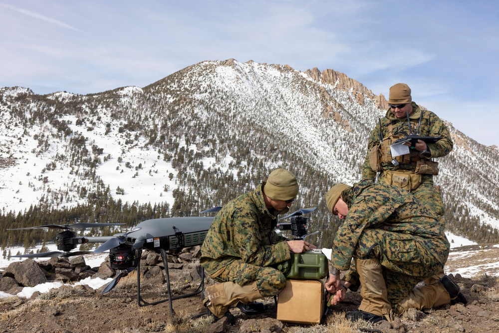 MTX 1-26 | Combat Logistics Battalion 24 Long Range TRV-150 Operations