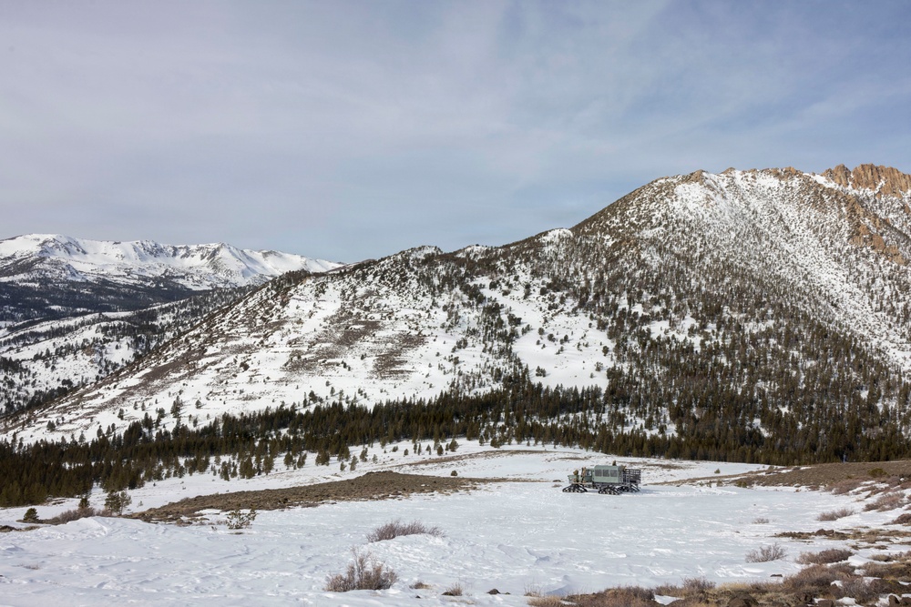 MTX 1-26 | Combat Logistics Battalion 24 Long Range TRV-150 Operations