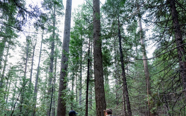 Travis SERE Team trains 22nd CABS in Northern California