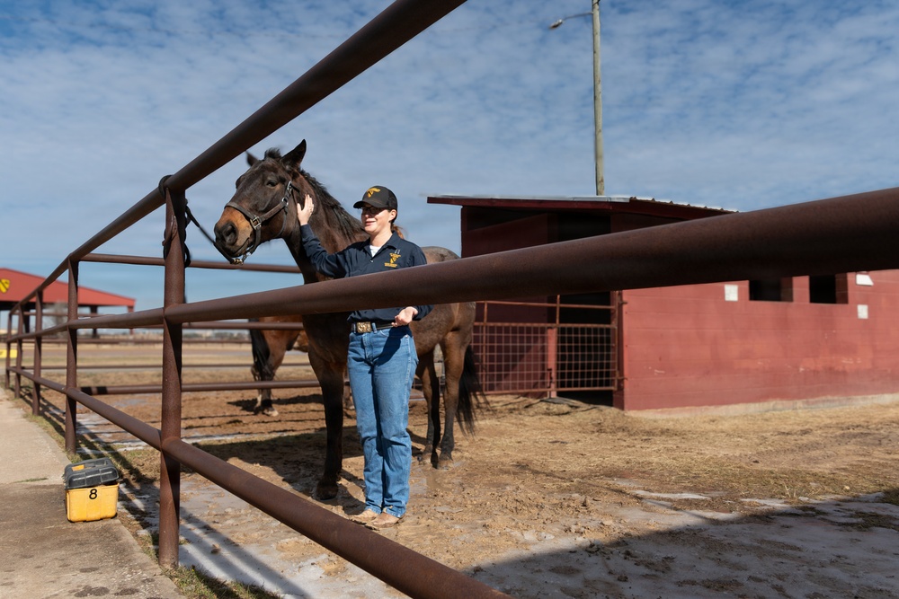 Leading the charge: Captain Megan Korpiel’s lifelong bond with horses shapes cavalry command