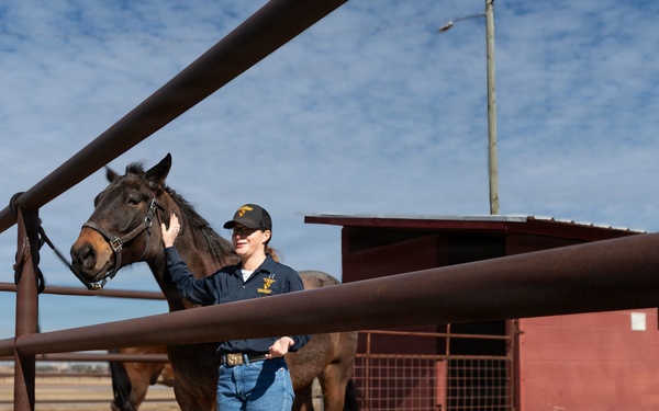 Leading the charge: Captain Megan Korpiel’s lifelong bond with horses shapes cavalry command