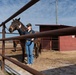 Leading the charge: Captain Megan Korpiel’s lifelong bond with horses shapes cavalry command