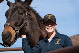 Leading the charge: Captain Megan Korpiel’s lifelong bond with horses shapes cavalry command