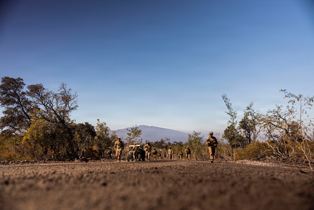 3rd LCT executes dry-fire company attacks at PTA