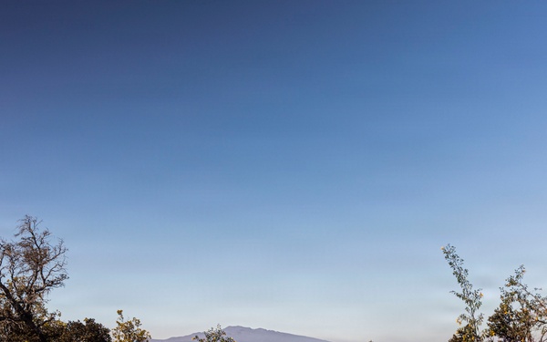 3rd LCT executes dry-fire company attacks at PTA