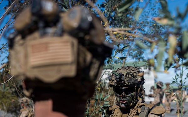 3rd LCT executes dry-fire company attacks at PTA