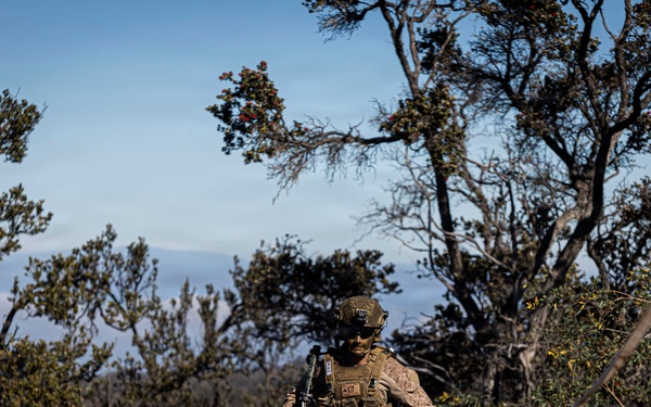 3rd LCT executes dry-fire company attacks at PTA