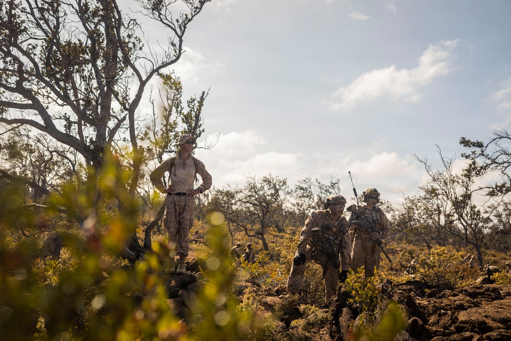 3rd LCT executes dry-fire company attacks at PTA