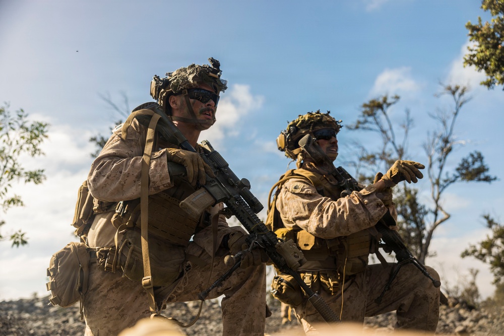 3rd LCT executes dry-fire company attacks at PTA