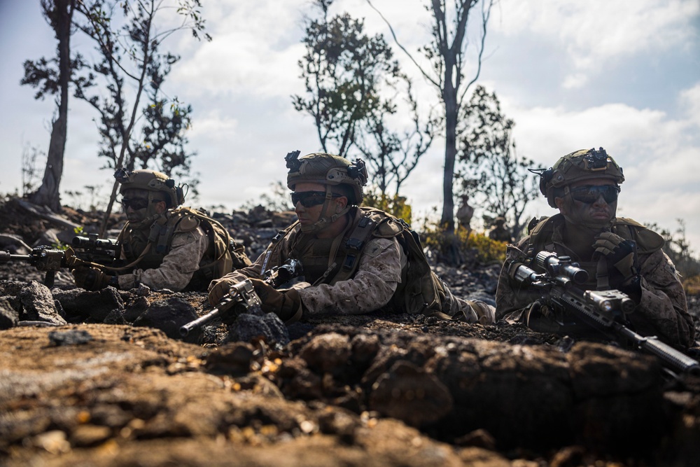 3rd LCT executes dry-fire company attacks at PTA