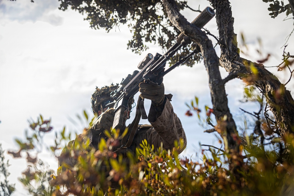 3rd LCT executes dry-fire company attacks at PTA