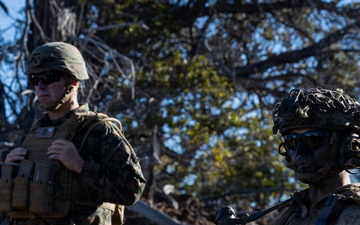 3rd LCT executes live-fire company attacks at PTA