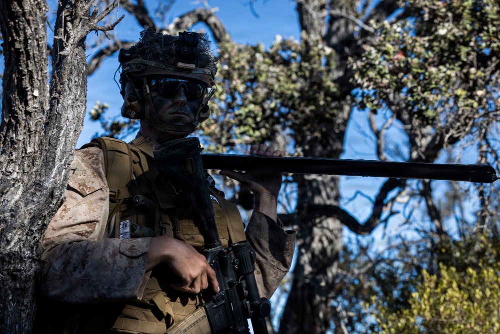 3rd LCT executes live-fire company attacks at PTA