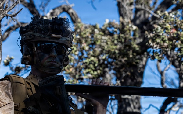 3rd LCT executes live-fire company attacks at PTA