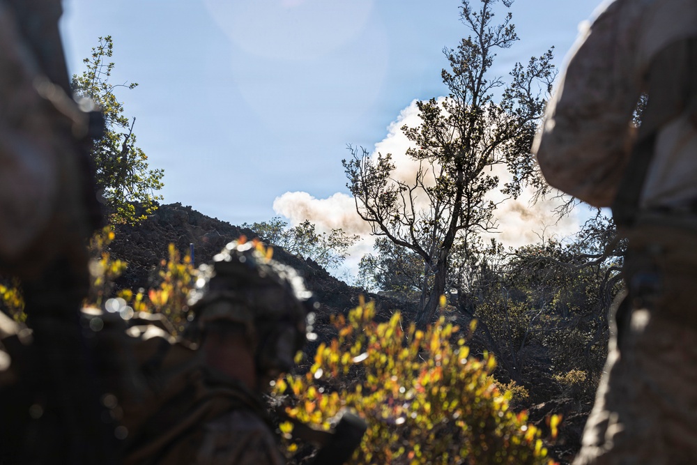 3rd LCT executes live-fire company attacks at PTA