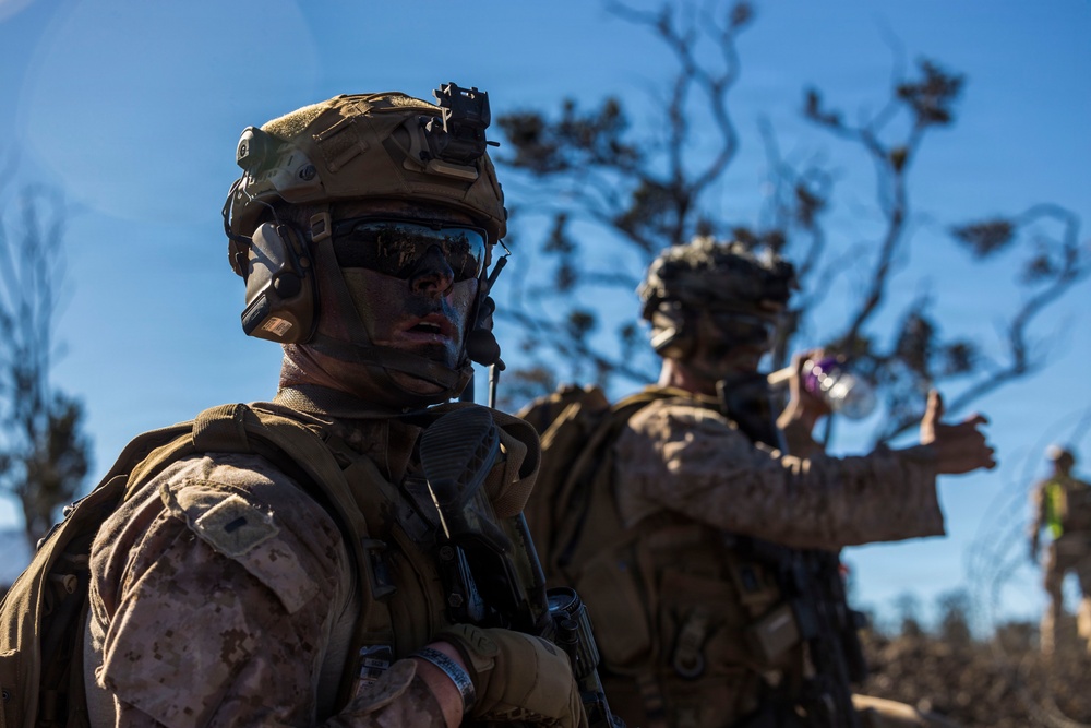 3rd LCT executes live-fire company attacks at PTA