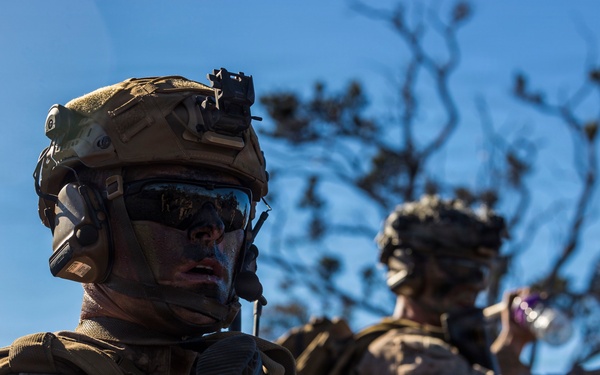 3rd LCT executes live-fire company attacks at PTA