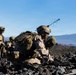 3rd LCT executes live-fire company attacks at PTA