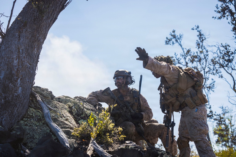 3rd LCT executes live-fire company attacks at PTA