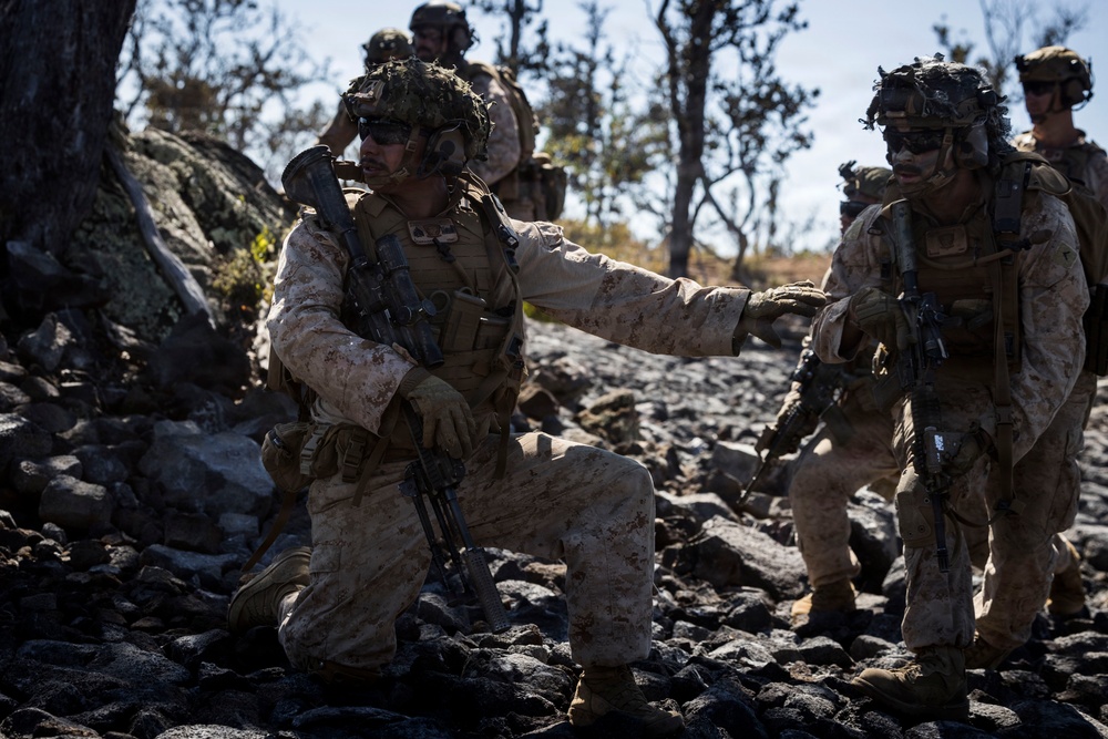 3rd LCT executes live-fire company attacks at PTA