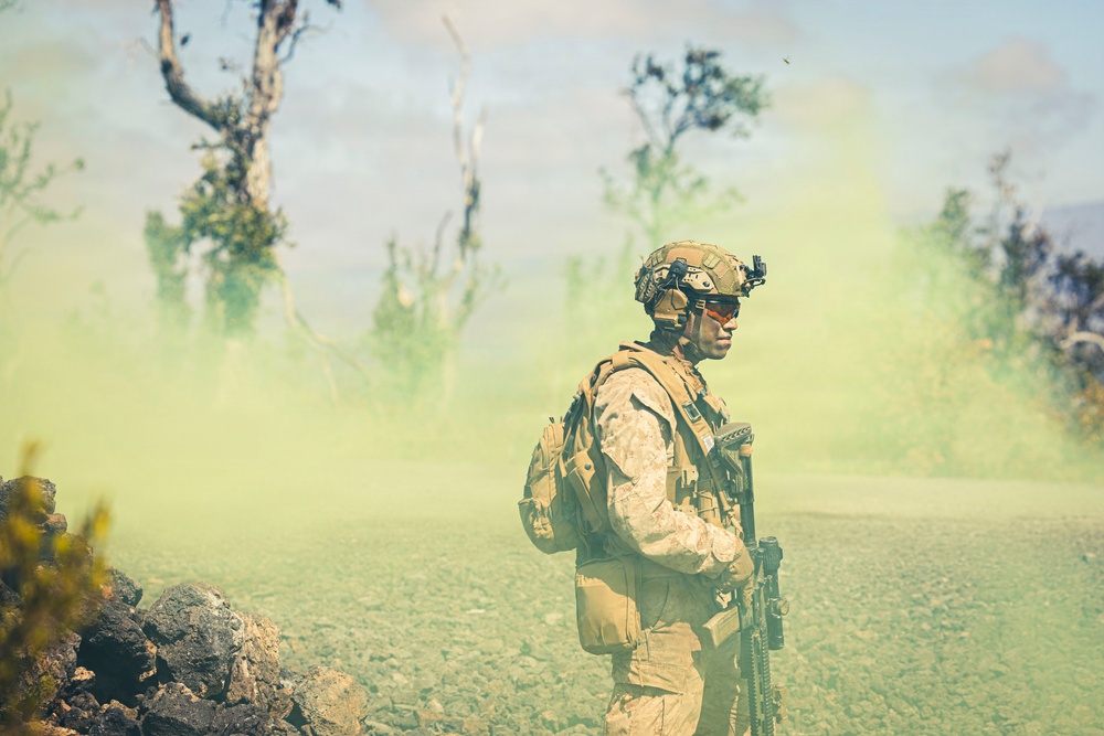 3rd LCT executes live-fire company attacks at PTA