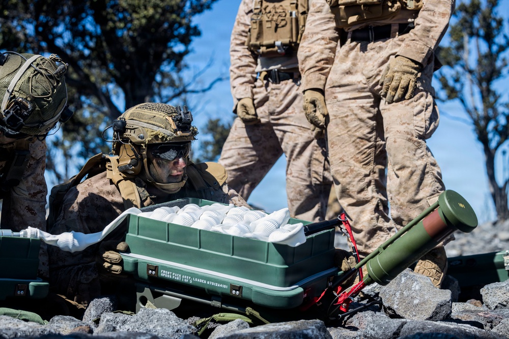 3rd LCT executes live-fire company attacks at PTA