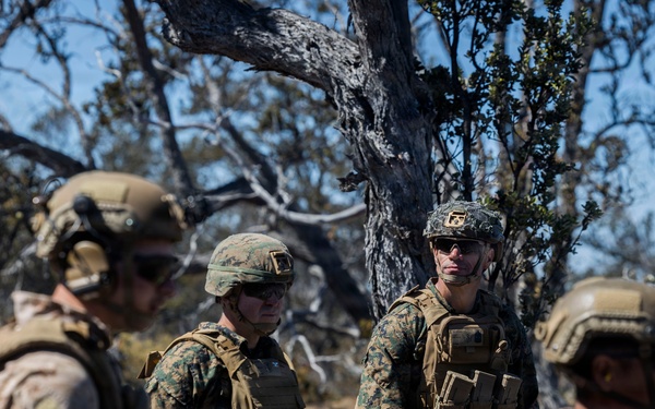 3rd LCT executes live-fire company attacks at PTA