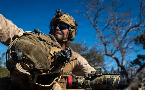 3rd LCT executes live-fire company attacks at PTA