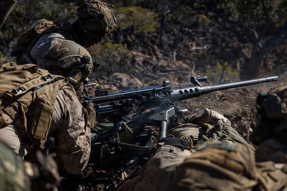 3rd LCT executes live-fire company attacks at PTA