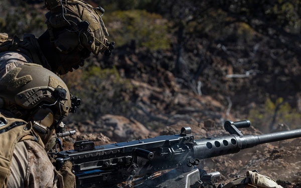 3rd LCT executes live-fire company attacks at PTA