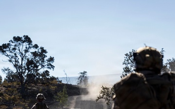 3rd LCT executes live-fire company attacks at PTA