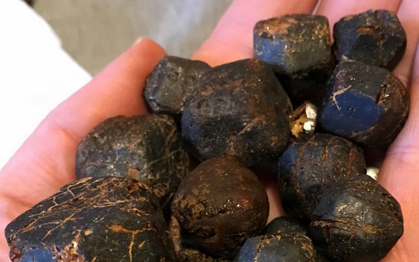 Emerald Creek Garnet Area on the Idaho Panhandle National Forests