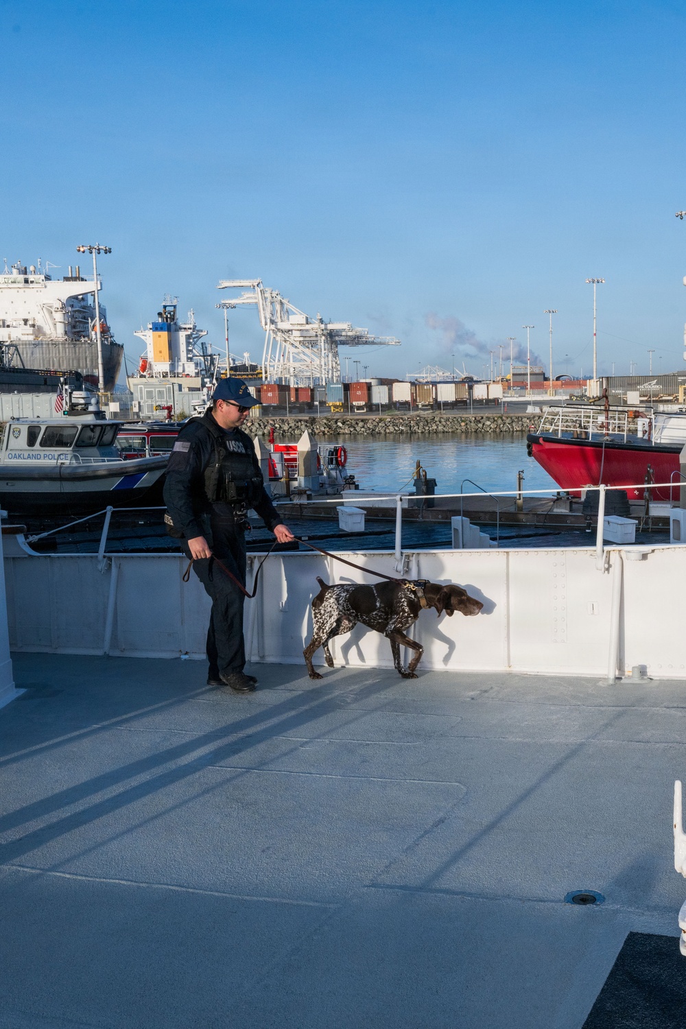 U.S. Coast Guard K-9 Units train on USS Potomac