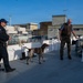 U.S. Coast Guard K-9 Units train on USS Potomac