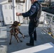 U.S. Coast Guard K-9 Units train on USS Potomac