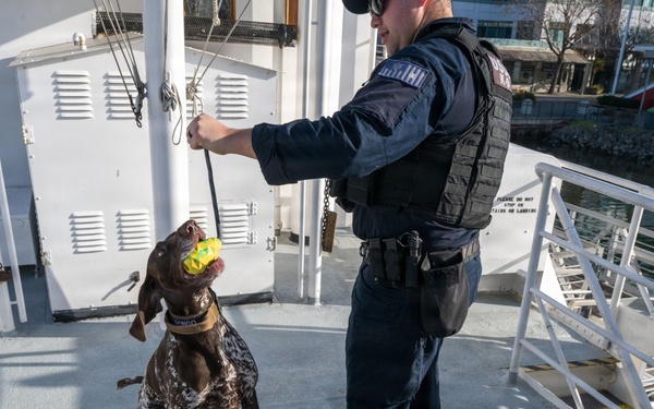 U.S. Coast Guard K-9 Units train on USS Potomac