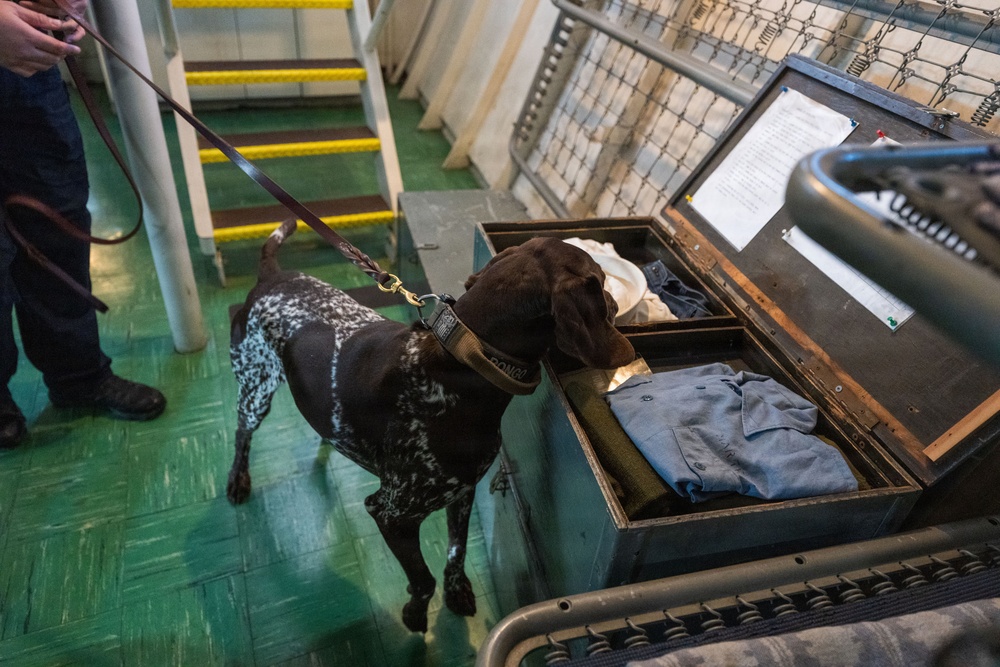 U.S. Coast Guard K-9 Units train on USS Potomac
