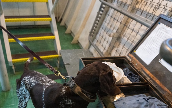 U.S. Coast Guard K-9 Units train on USS Potomac