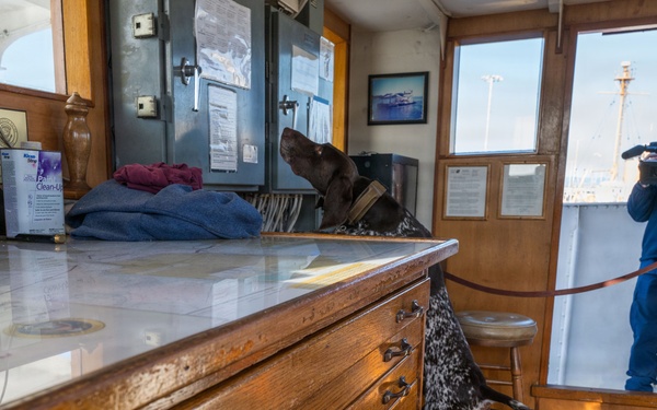 U.S. Coast Guard K-9 Units train on USS Potomac