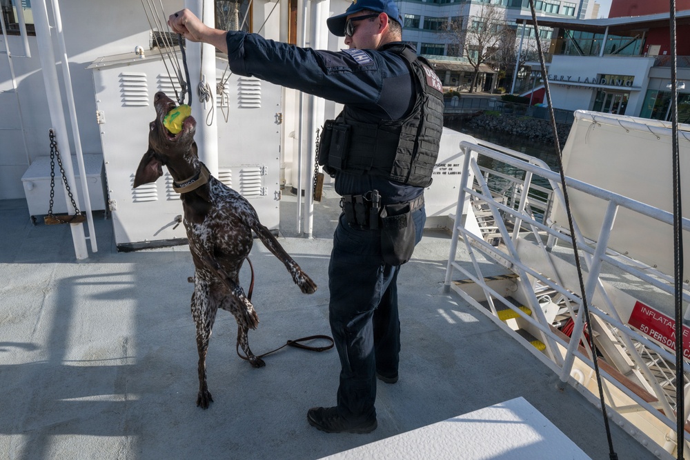 U.S. Coast Guard K-9 Units train on USS Potomac