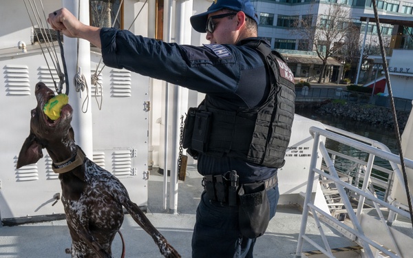U.S. Coast Guard K-9 Units train on USS Potomac