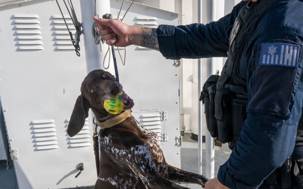 U.S. Coast Guard K-9 Units train on USS Potomac