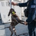 U.S. Coast Guard K-9 Units train on USS Potomac