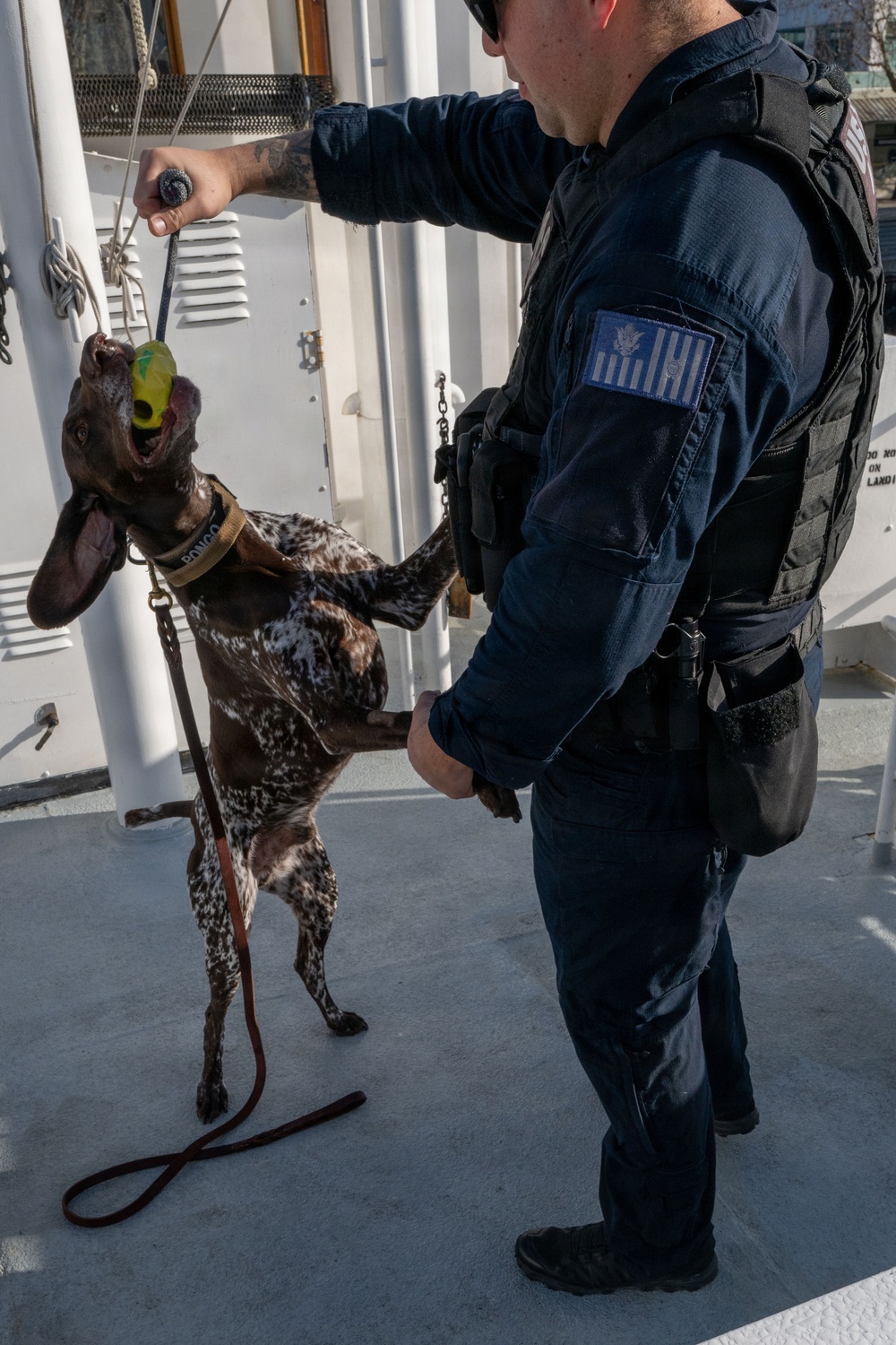 U.S. Coast Guard K-9 Units train on USS Potomac