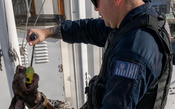 U.S. Coast Guard K-9 Units train on USS Potomac