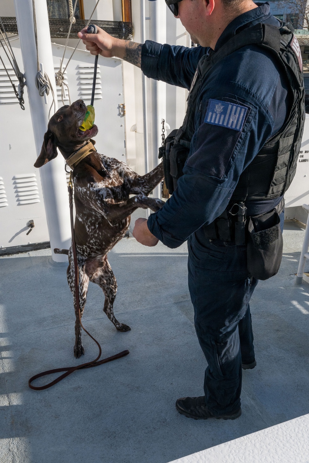 U.S. Coast Guard K-9 Units train on USS Potomac