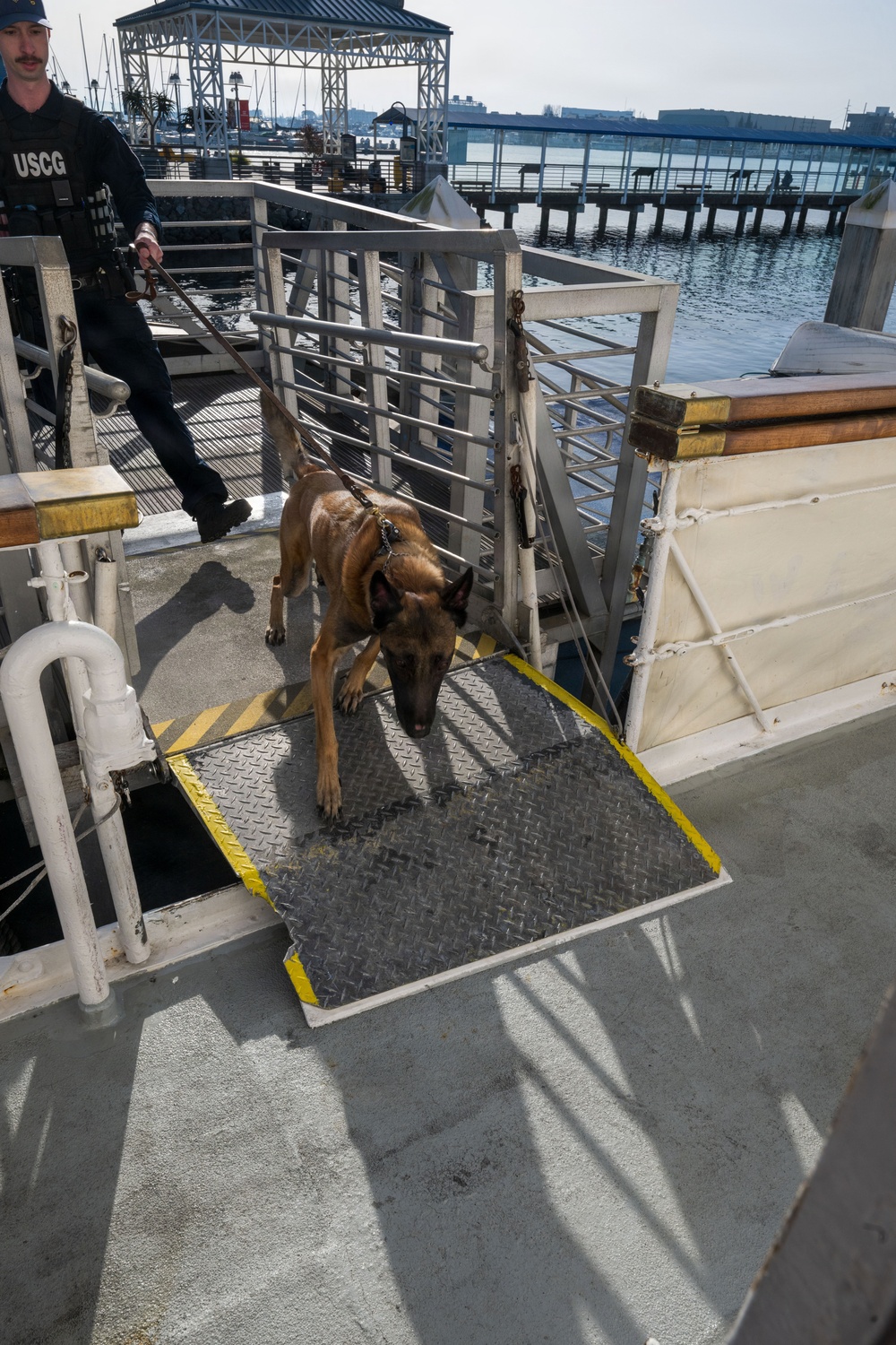U.S. Coast Guard K-9 Units train on USS Potomac